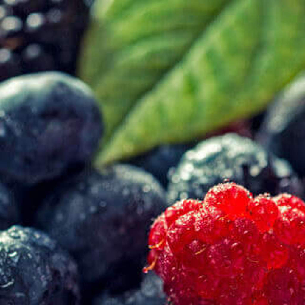 berries2