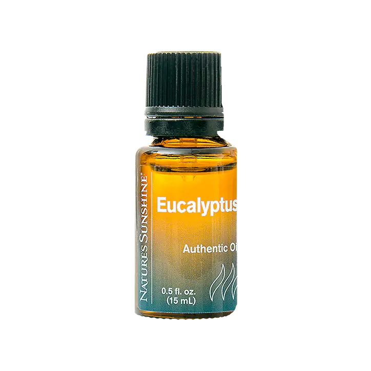 Eucalyptus