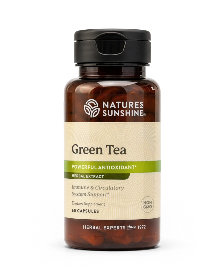 Green Tea Extract