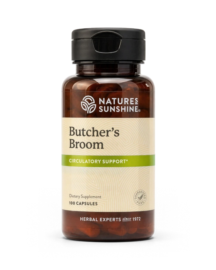 Butcher's Broom