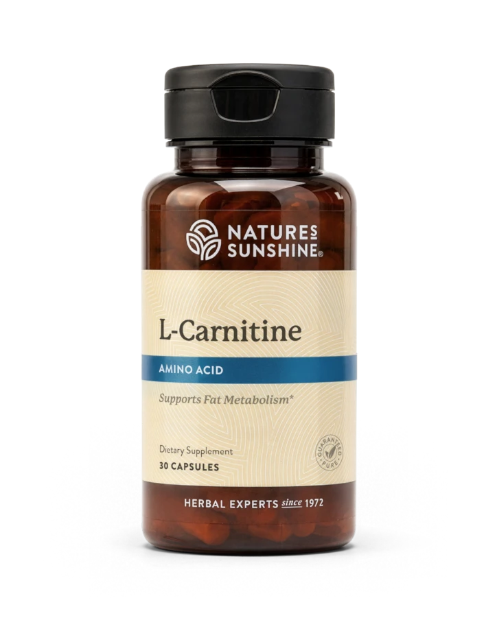 l-Carnitine