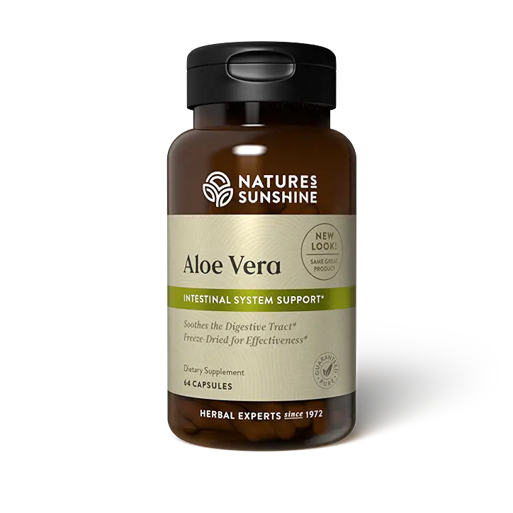 skin care aloe vera gel Isntree Aloe Soothing Gel Moisture Type main image 0