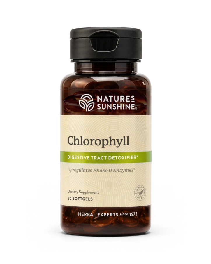 Chlorophyll