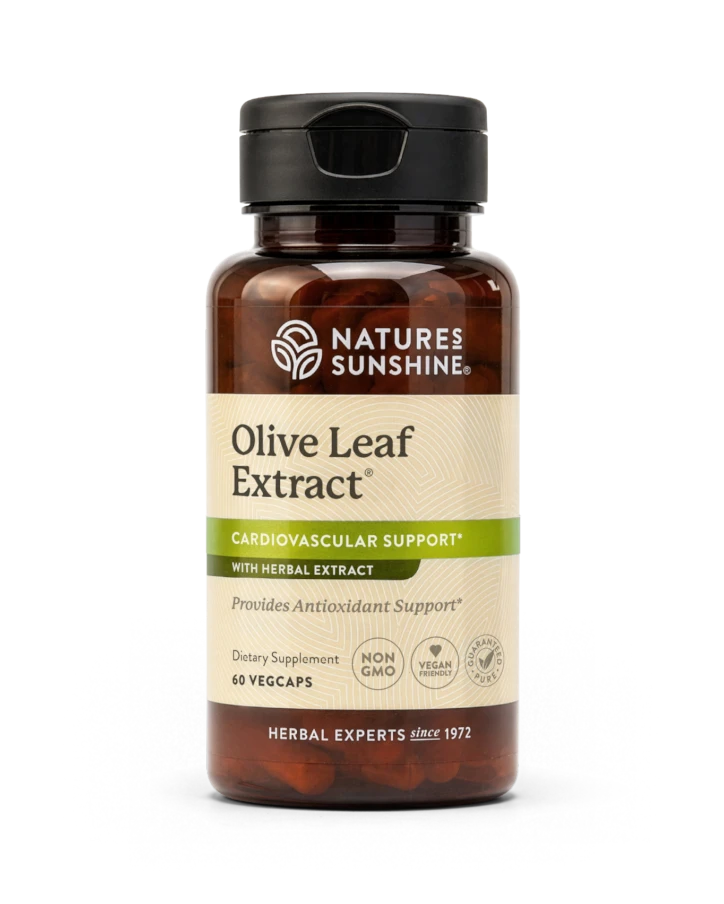 Olive Leaf Extract Concentrate