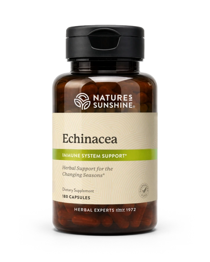Echinacea Purpurea