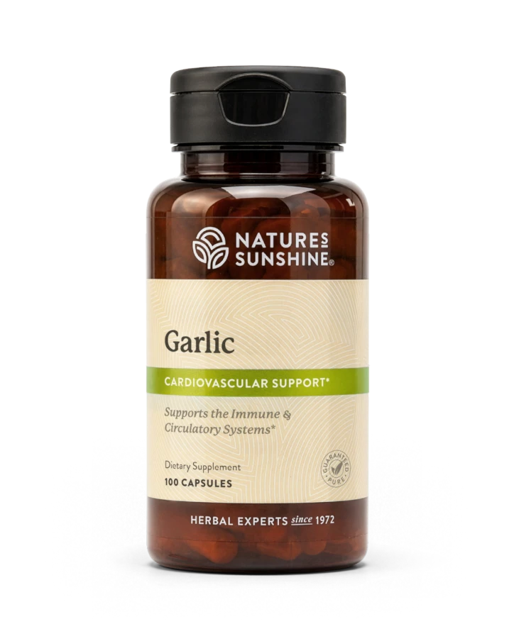 Garlic