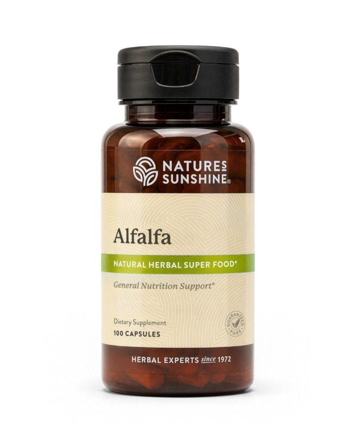 Alfalfa