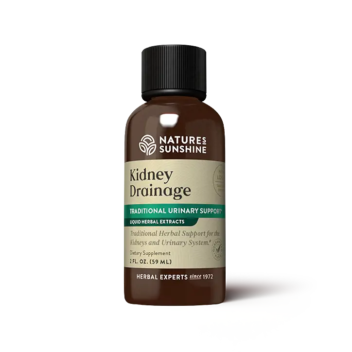 Kidney Drainage