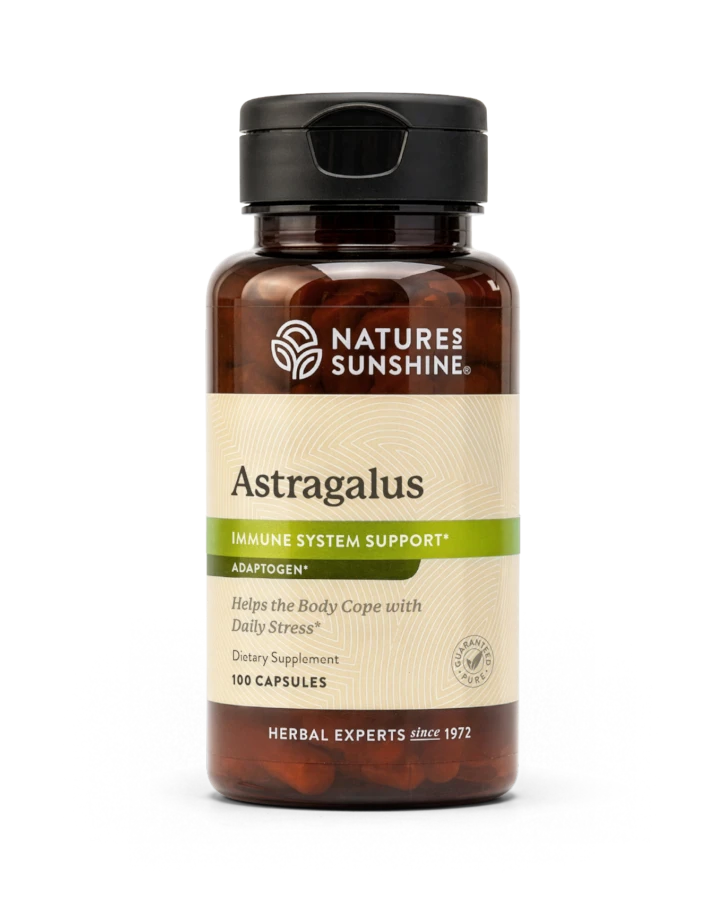 Astragalus
