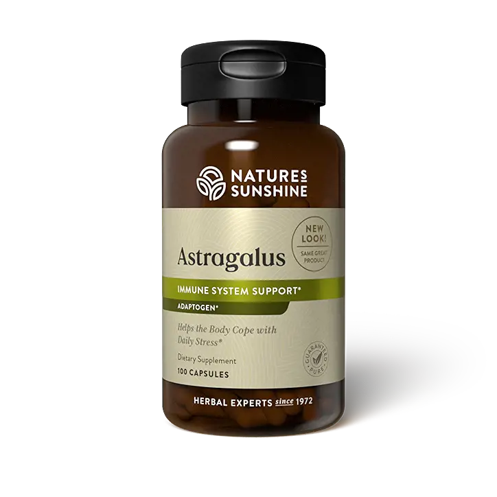 Astragalus