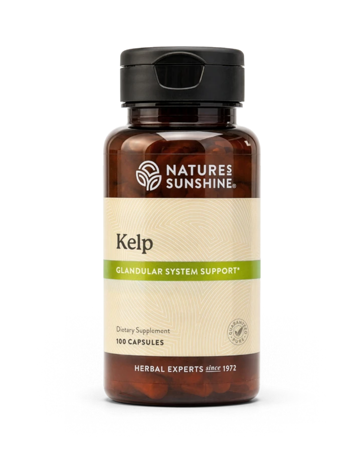 Kelp