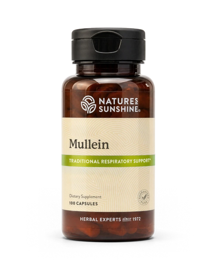 Mullein