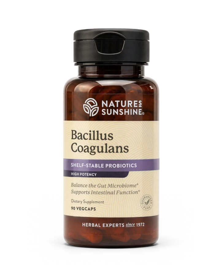Bacillus Coagulans