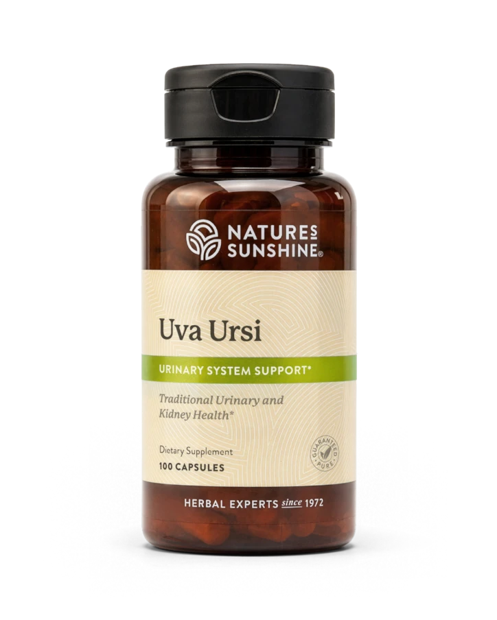 Uva Ursi