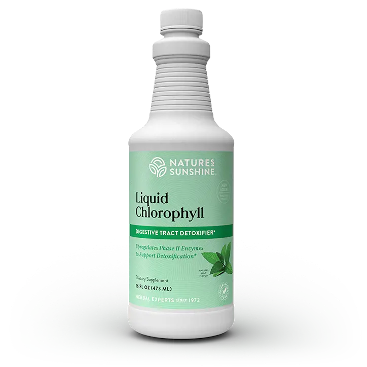 Liquid Chlorophyll Digestive Tract Detox Nature's Sunshine